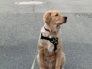 CIMG5533.JPG